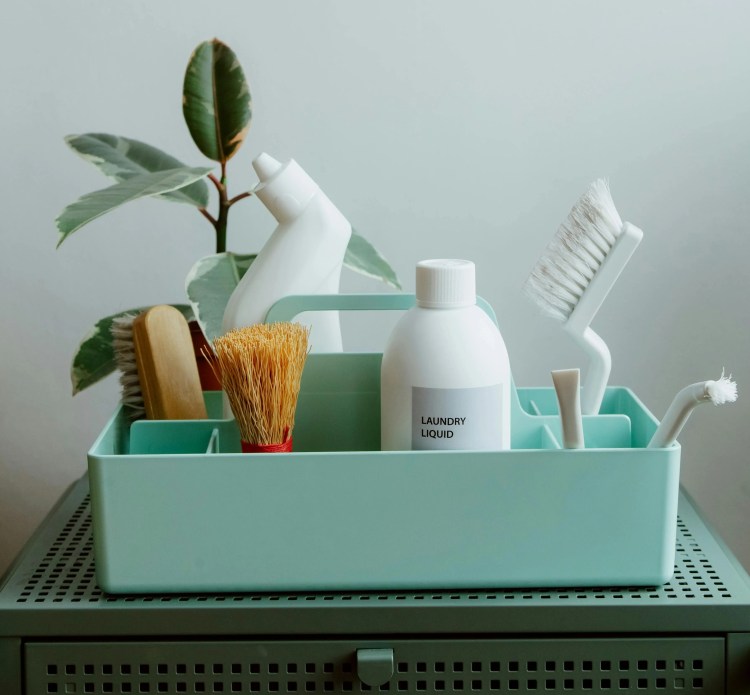 Domestic Cleaners Northampton Professional Weekly Home Cleaning