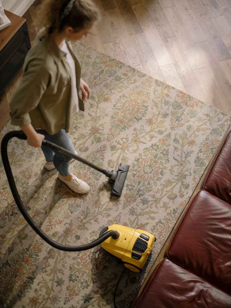 Domestic Cleaners Required –&nbsp;NN1